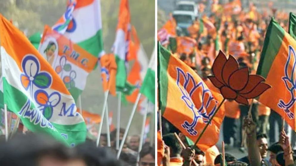 জয়ের হাসি নেই কোনো তৃণমূলের তারকা প্রার্থীর, জ্বলে উঠলেন বিজেপির তারারা