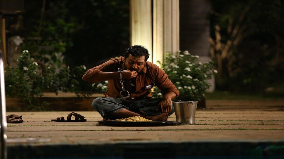 আজ ‘নো ডায়েট ডে’: ডায়েট ভুলে যা খুশি মন ভরে খাওয়ার দিন!