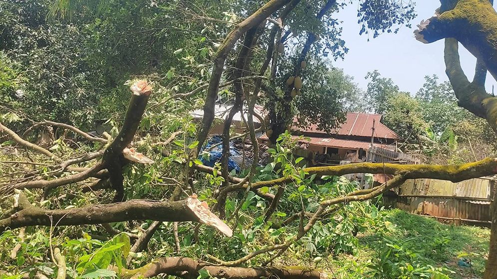 কালবৈশাখীর তাণ্ডবে লন্ডভন্ড শ্রীপুরের ৩ গ্রাম