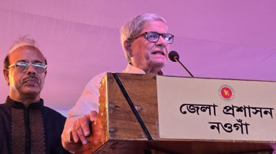 দেশে একটা হতাশাবাদী গোষ্ঠী আছে: মির্জা ফখরুল