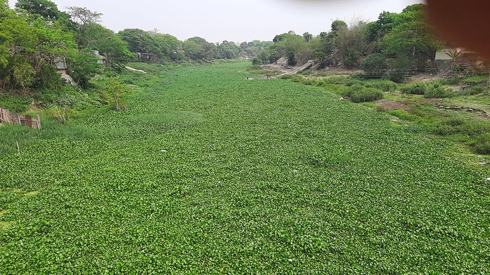 ২৫১ কোটি টাকা খরচ করেও নাব্য ফেরেনি কুমার নদে
