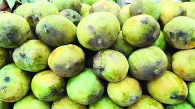 বিষমাখা আম-লিচুতে সয়লাব বাজার