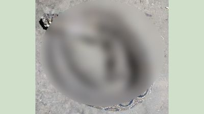 বাড়ির উঠানে বিশাল রাসেল ভাইপার