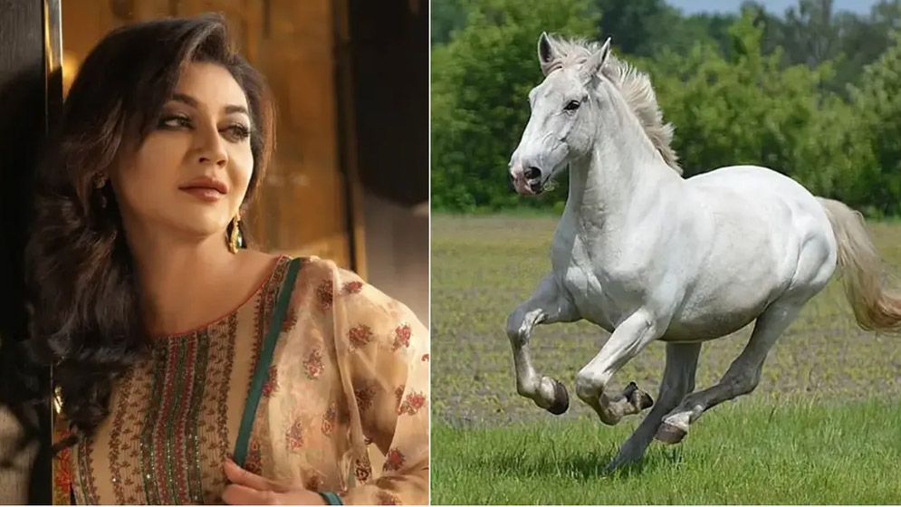 ঘোড়ার মাংস নিয়ে হাইকোর্টে জয়া আহসানের রিট