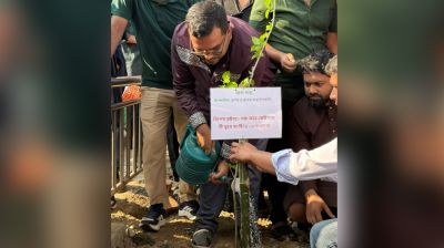 ঢাবিতে প্রধানমন্ত্রীর আগমন উপলক্ষে ছাত্রদলের বৃক্ষরোপণ