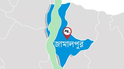 জামালপুরে লিচুর বিচি গলায় আটকে শিশুর মৃত্যু