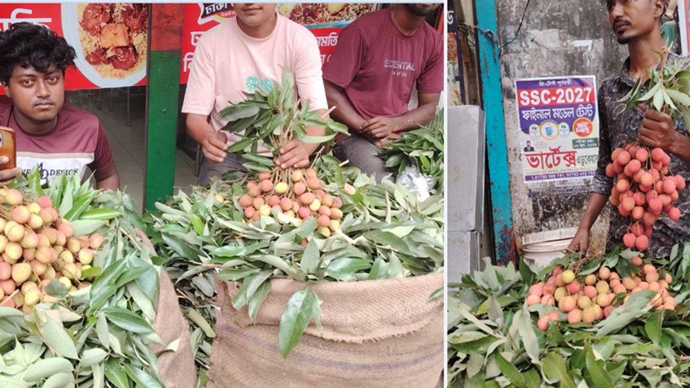 কেমিক্যাল দিয়ে পাকানো লিচুতে বাজার সয়লাব