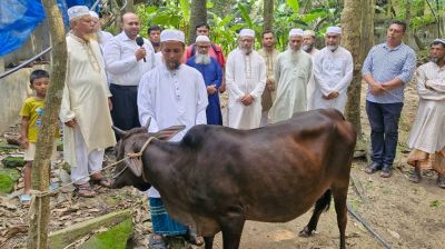 ক্ষতিগ্রস্ত খামারিকে জামায়াতের গাভী উপহার
