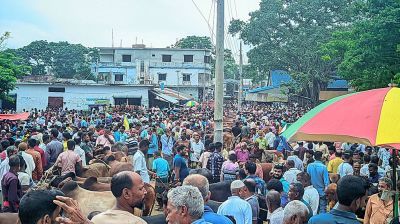 কুরবানির গরু কিনতে গিয়ে এক লাখ টাকা খোয়ালেন ক্রেতা