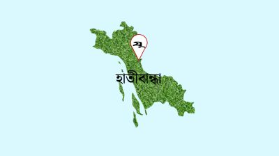 পুলিশের ওপর হামলা করে হাতকড়াসহ মাদক কারবারিকে ছিনিয়ে নিল সহযোগীরা