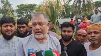 অসহায় নারীর ২ বিঘা জমির ধান কেটে দিলেন এমপি জিলানী