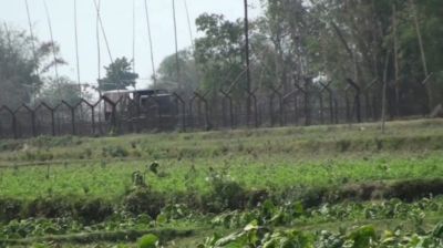 সীমান্তে বিএসএফের গুলিতে বাংলাদেশি নিহত