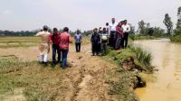 শেরপুরে কমতে শুরু করেছে ঢলের পানি