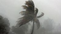 রাতের মধ্যে ঢাকাসহ ৯ অঞ্চলে ঝড়ের আভাস