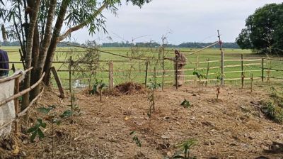 বড়লেখায় অর্ধশত বছরের পুরোনো রাস্তায় বেড়া দেওয়ার অভিযোগ, অবরুদ্ধ ৫ পরিবার