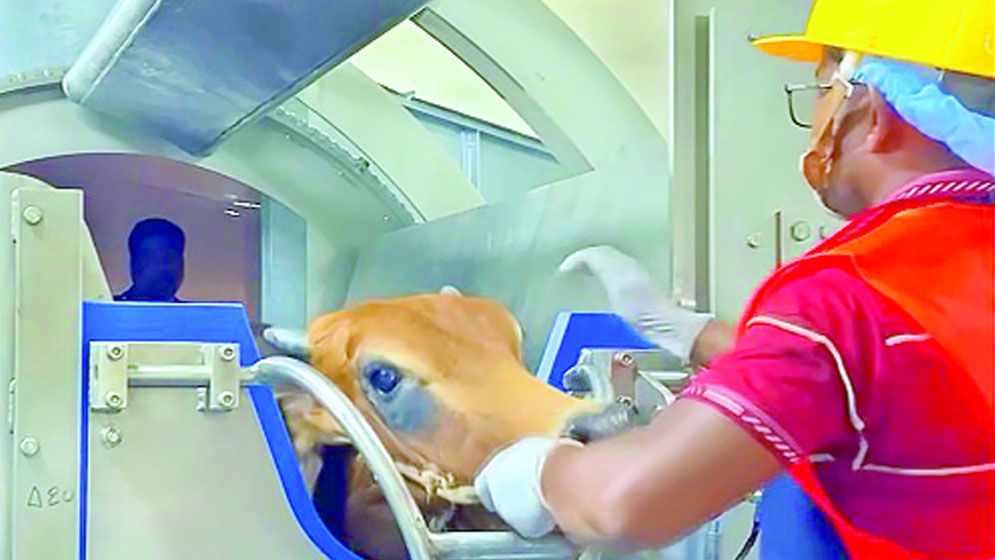 বগুড়ায় নির্মাণ হলো আধুনিক কসাইখানা