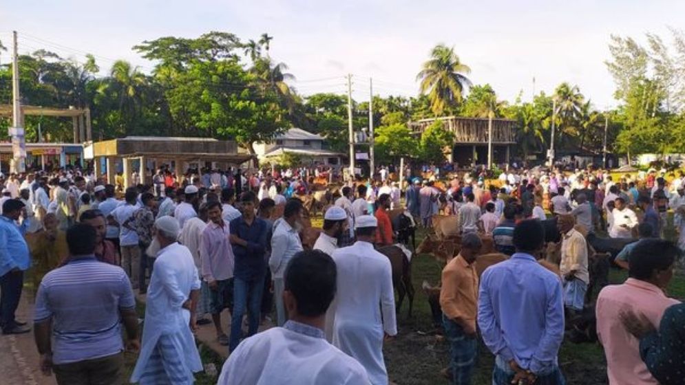 ঈদকে সামনে রেখে খামারি ও ব্যাপারীরা গরু, মহিষ ও ছাগল কেনাবেচায় ব্যস্ত সময় পার করছেন