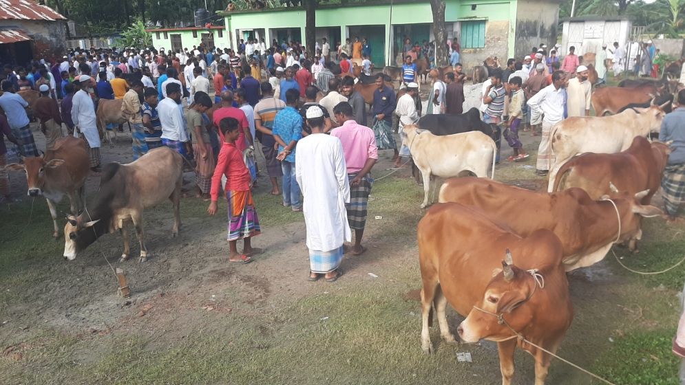 ঈদকে সামনে রেখে খামারি ও ব্যাপারীরা গরু, মহিষ ও ছাগল কেনাবেচায় ব্যস্ত সময় পার করছেন