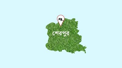 টাকা ধার চাওয়ায় বন্ধুর বোনের সঙ্গে প্রেমের প্রস্তাব, অতঃপর