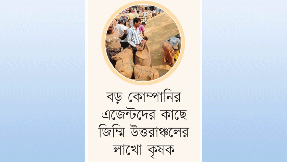 সিন্ডিকেটের থাবা ধানের বাজারেও