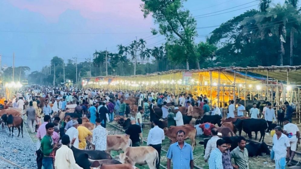 ‘পুরো বাংলাদেশে বসাচ্ছে, তাই আমিও রেললাইনের ওপর পশুর হাট বসিয়েছি’