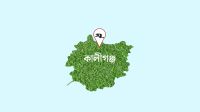 বিএনপির চেয়ে জামায়াতের ভাগ কম হওয়ায় ঝুলে আছে বিতরণ