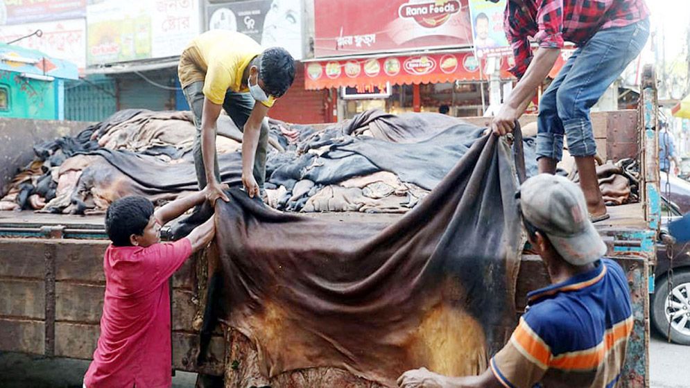 কুরবানির চামড়া নিয়ে এবারও বিপর্যয়ের শঙ্কা