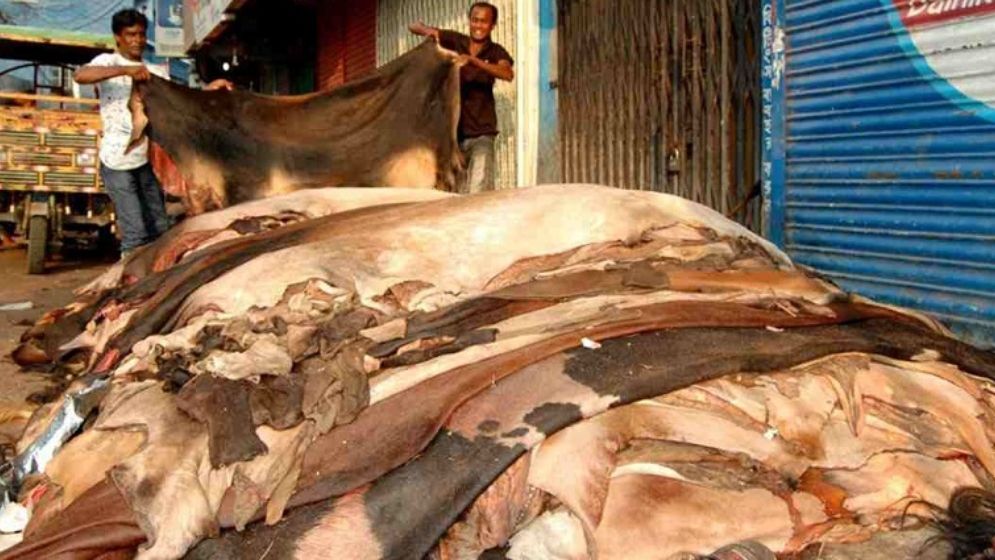 চামড়া প্রক্রিয়াকরণে ন্যানো-প্রযুক্তি