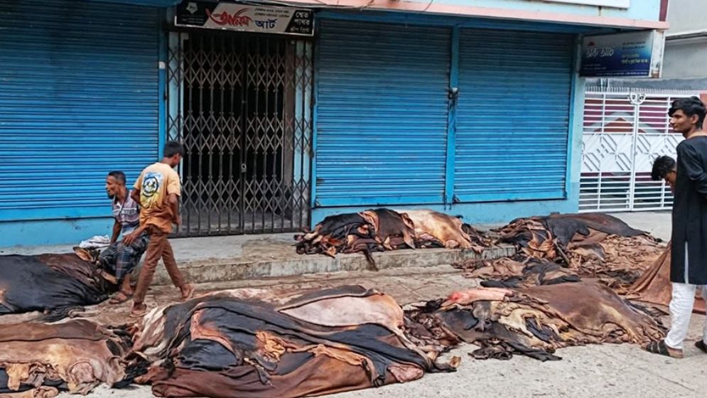 বগুড়ায় কুরবানির চামড়ার বাজারে ধস, বিপাকে ব্যবসায়ীরা