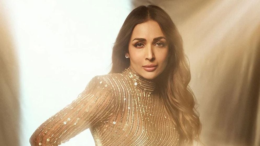 অনেক পুরুষের সঙ্গে সম্পর্কের গুঞ্জন, যা বললেন মালাইকা