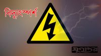 ছেলেকে বাঁচাতে গিয়ে প্রাণ গেল মায়ের