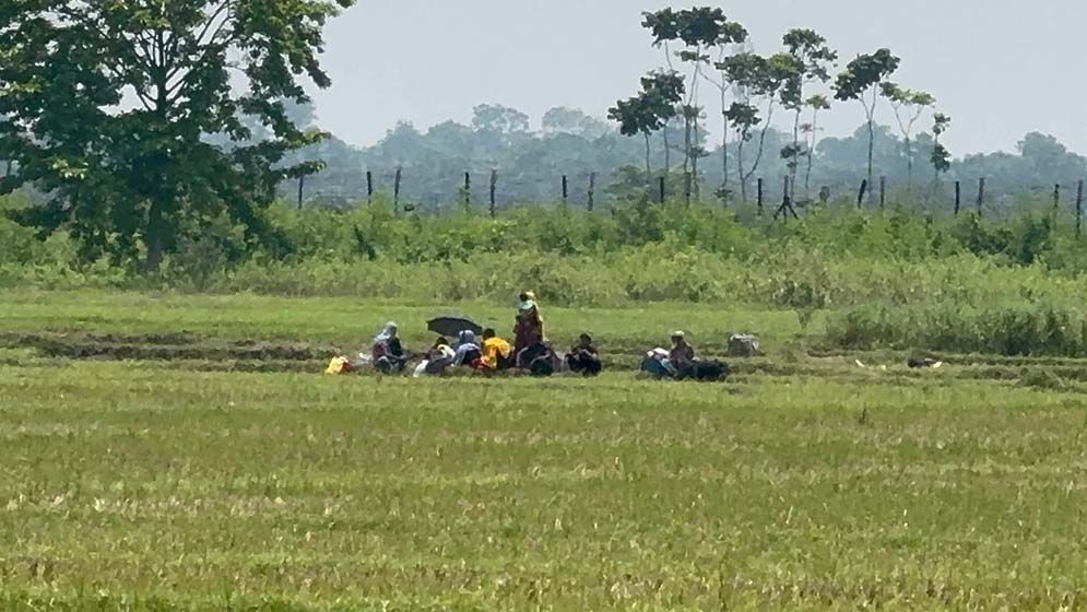 সীমান্তের শূন্যরেখায় ১০ নারী-পুরুষ ও শিশুর মানবেতর জীবন