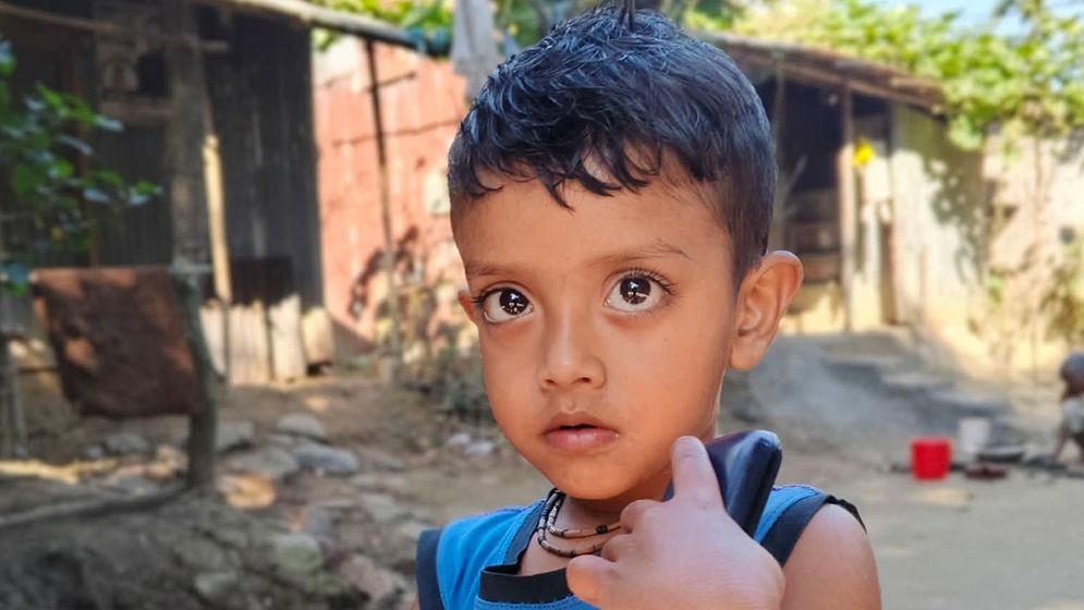 সড়ক পার হতে গিয়ে কাভার্ডভ্যানে পিষ্ট শিশু