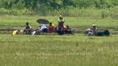 শূন্যরেখায় জড়ো করা ব্যক্তিদের সরিয়ে নিল বিএসএফ