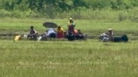 শূন্যরেখায় জড়ো করা ব্যক্তিদের সরিয়ে নিল বিএসএফ
