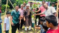 বৃক্ষরোপণ সামাজিক আন্দোলনে পরিণত করতে হবে: বাসস চেয়ারম্যান