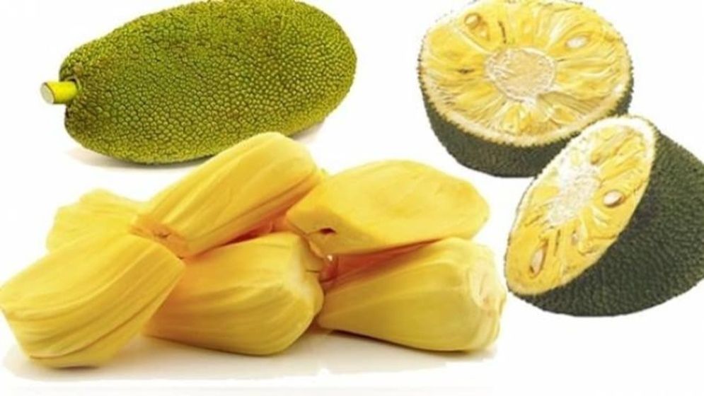 গরমে কাঁঠাল খাওয়ার আগে যা জানা জরুরি