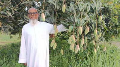 ১০২ জাতের আম এক বাগানে