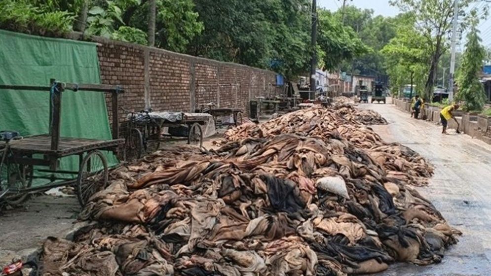 চোখের জলে ভাসছে শত কোটি টাকার চামড়া