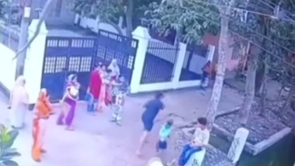 লিচুর ডাল ভাঙায় শিশুকে পানিতে নিক্ষেপ, সিসিটিভির ফুটেজ ভাইরাল