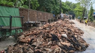 চোখের জলে ভাসছে শত কোটি টাকার চামড়া