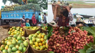 মধুমাসে মধুফলের ম-ম ঘ্রাণে বিমোহিত পাহাড়