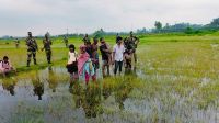পঞ্চগড় সীমান্তে ১০ জনকে পুশ-ইনের চেষ্টা রুখে দিল বিজিবি