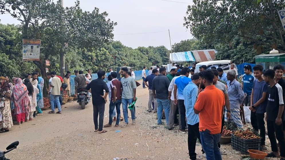 টিলার লালমাটিতে লিচুর বাম্পার ফলন, বিজয়নগর এখন পর্যটন এলাকা