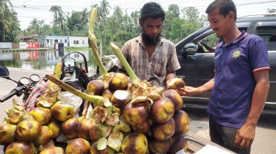 তাল শাঁসে কোটি টাকার বাণিজ্য ফকিরহাটে