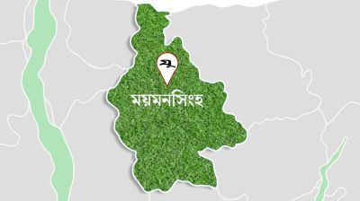 ডিসি অফিসে বিএনপির দুই নেতার হাতাহাতি, কর্মচারী আহত