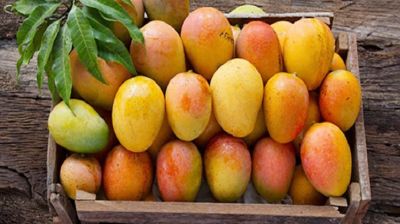 প্রতিদিন আম খাওয়ার উপকারিতা জানুন