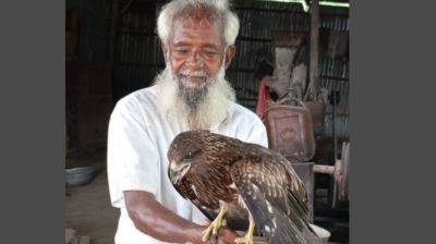 বৃদ্ধের ভালোবাসায় হিংস্রতা ভুলে পরম বন্ধু বিপন্ন ঈগল
