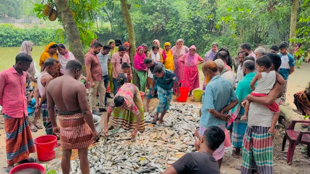 ধনবাড়ীতে রাইস মিলে অগ্নিসংযোগ-পুকুরের মাছ নিধন, আতঙ্কে পরিবার