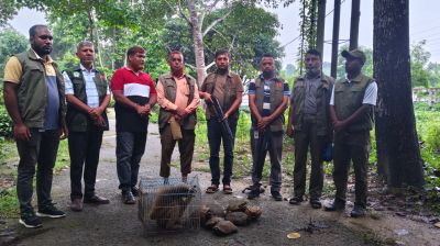 বিলুপ্তপ্রায় বন্যপ্রাণী পাচারের অভিযোগে যুবকের কারাদণ্ড